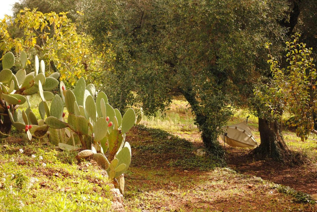 Il Giardino Di Viola Bed and Breakfast Ceglie Messapica Exteriör bild