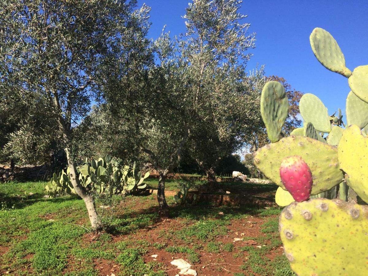 Il Giardino Di Viola Bed and Breakfast Ceglie Messapica Exteriör bild